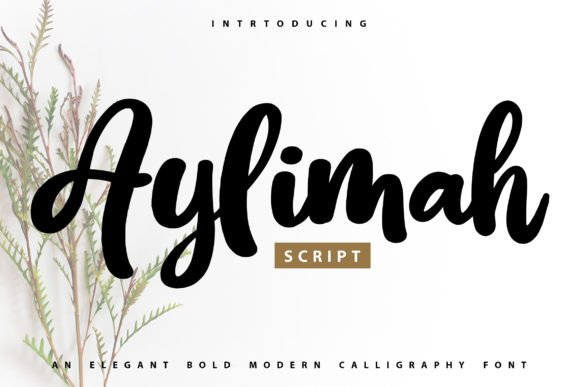 Aylimah: A Calligraphy Font That Brings Elegance to Life