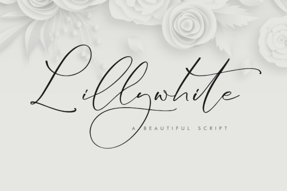Lillywhite: A Modern Script for Elegant Branding
