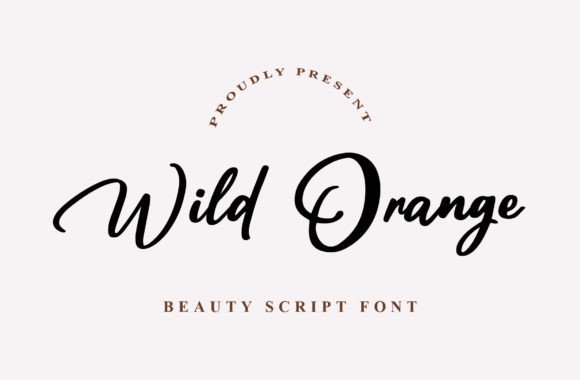 Wild Orange: Where Modern Elegance Meets Everyday Use